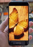 Butterfly Wallpapers syot layar 3