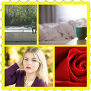 PHOTO GRID aplikacja