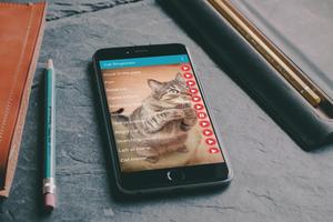 Cat Sounds Ringtones Purr الملصق