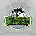 Humboldt Broncos 圖標