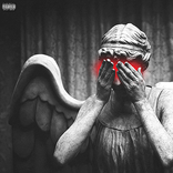 The FARGO Experience