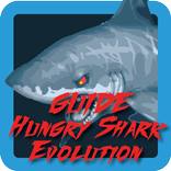 Guide Hungry Shark Evolution