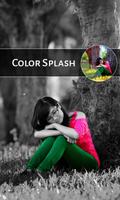 Color Splash - Black & White capture d'écran 3