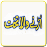 Hazrat Suleman AS ki Kahani icon