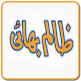 Zalim bhai Hazrat Yusuf AS icon