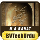 Bichu Urdu Novel-APK