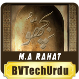 Bichu Urdu Novel icône