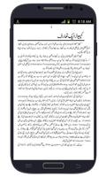 برنامه‌نما Inpage Urdu عکس از صفحه