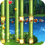 愤怒的飞翔小鸟