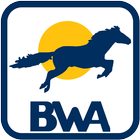 BWA иконка