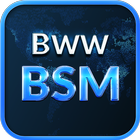 BSM ikona