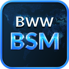 BSM icono