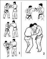 Lern Martial Arts Techniques screenshot 1