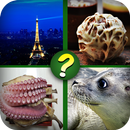 Guess The Picture Quiz: The Image Guessing Quest APK