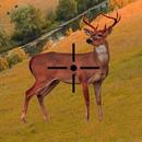 Wild Deer Hunter-APK