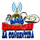 Radio Guayameo La Consentida icône