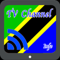 TV Tanzania Info Channel