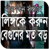 বেগুনের মত বড় ও মোটা ไอคอน