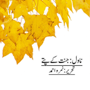 Jannat Kay Pattay Nimra urdu books Novels New APK