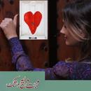 Mohabbat Dil Pe Dastak by Effit Seher Tahir urdu APK