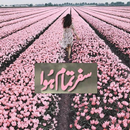 Safar Tamaam Howa By Rahat Jabeen Urdu novel book APK
