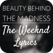 Beauty Behind the Mad.. Lyrics