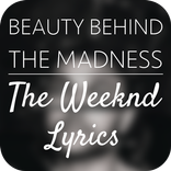 Beauty Behind the Mad.. Lyrics