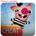 Cheats pour Bacon Escape icône