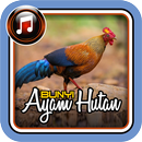 Bunyi Suara Ayam Hutan APK