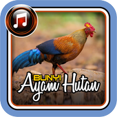 Bunyi Suara Ayam Hutan Für Android Apk Herunterladen