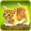Cats Puzzle