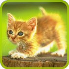 Cats Puzzle आइकन