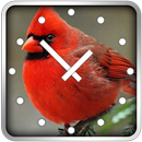 Birds Clock Widget aplikacja