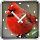 Birds Clock Widget icono