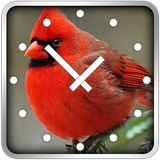 Icona Birds Clock Widget