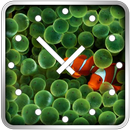 Fish Clock Widget aplikacja