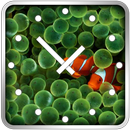 APK Fish Clock Widget