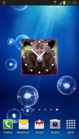 Bears Clock Widget capture d'écran 2