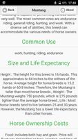 3 Schermata Horses Dictionary