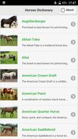 Horses Dictionary โปสเตอร์