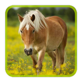 Horses Puzzle ไอคอน