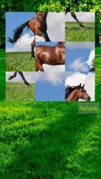 Horses Puzzle Affiche