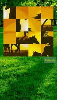 Horses Puzzle imagem de tela 2