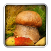 Mushrooms Puzzle