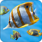 Aquarium Fish Wallpaper 3D icône