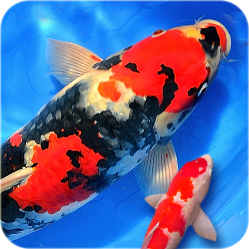 Fish Live Wallpaper 2018: Free Fish Screensaver 3D