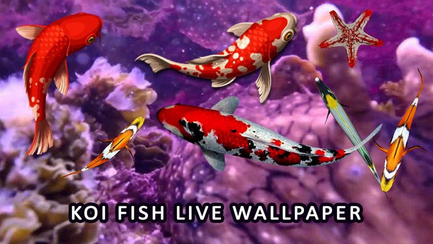 خلفية حية خلفية الشاشة السمك خلفية متحركة 3d For Android Apk Download