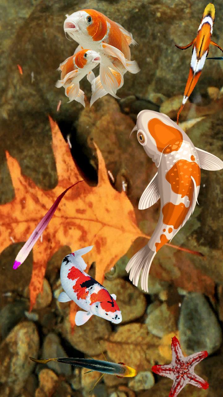  Koi  Fish  Wallpaper 3D Water Fish  Screensaver  3D for 