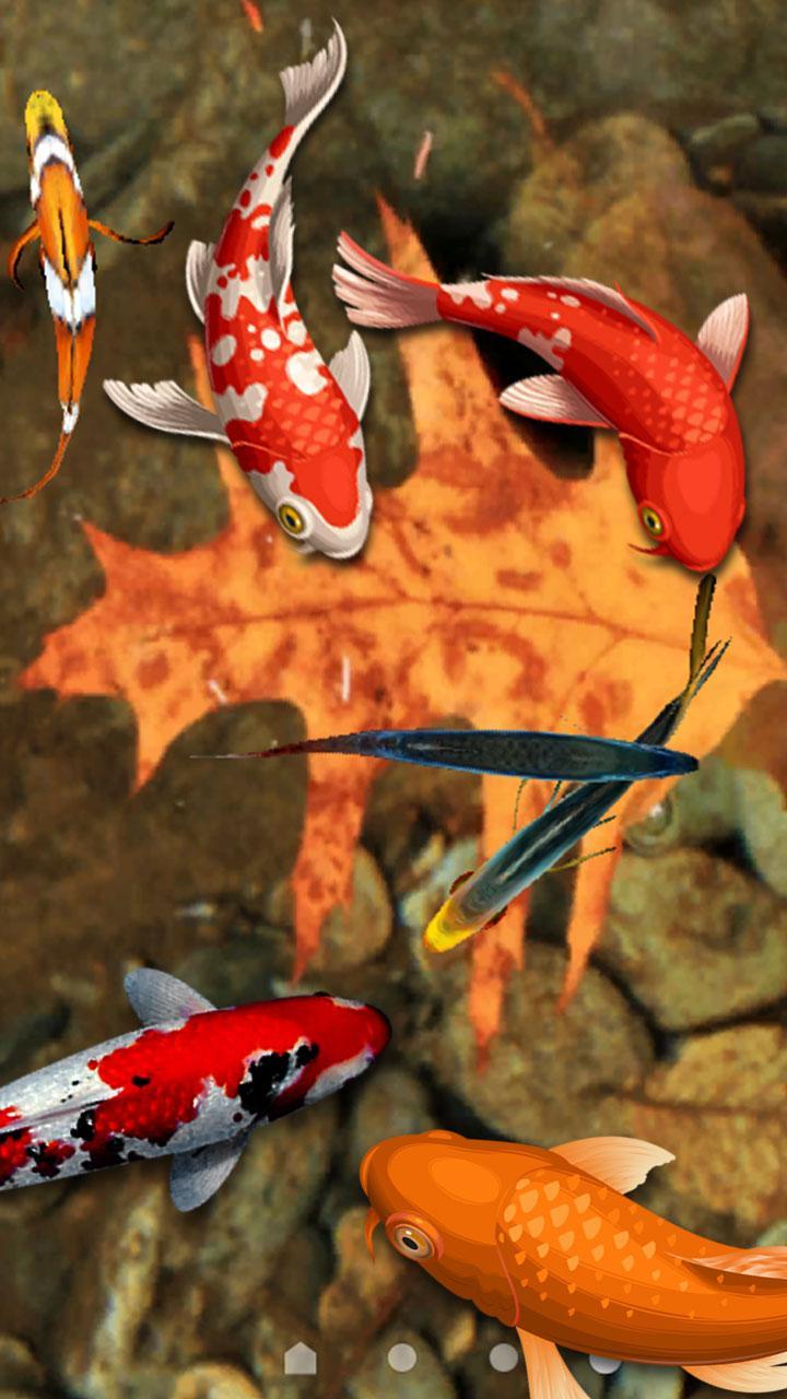  Koi  Fish  Wallpaper 3D Water Fish  Screensaver  3D for 