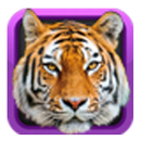 Animal Face Changer Free APK